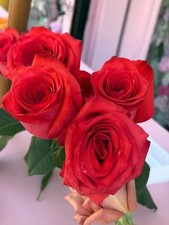 Digital Image Picture Wallpaper Background Desktop Beautiful Red Rose Flower 3