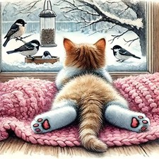 Sanjee Cat Diamond Art Kits for Adults, 12x12 inches, Multicolored