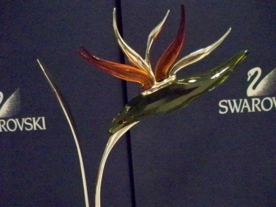 Swarovski スワロフスキー Dalmally Tropic Sun 箱付 SWAROVSKI DALMALLY TROPIC SUN 673420 EXOTIC FLOWER | eBay