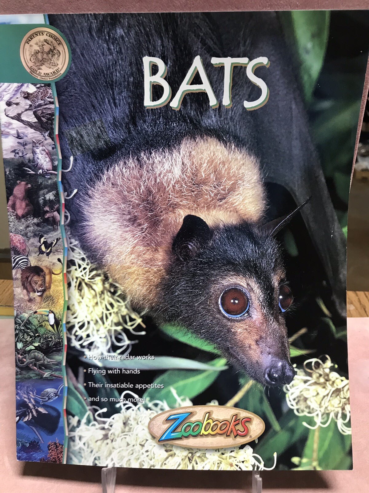 Zoobooks Magazine “Bats” eBay