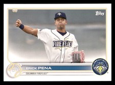 2022 Topps Pro Debut Erick Pena #PD-163  Columbia Fireflies