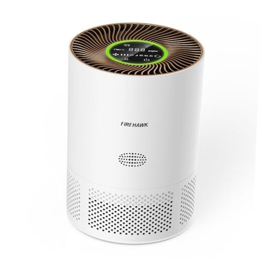 Air Purifier for Home Large Room 2300 ft², H13 HEPA Filter, PM 2.5 Wildfire-image