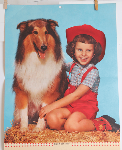 CALENDARIO POSTER VINTAGE 1958 THEDA & EMERSON HALL COWGIRL AND COLLIE 16" X 33" - Foto 2 di 7