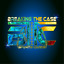 Breaking The Case Auctions