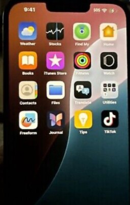 iPhone 13 Pro Max With TikTok App Installed 