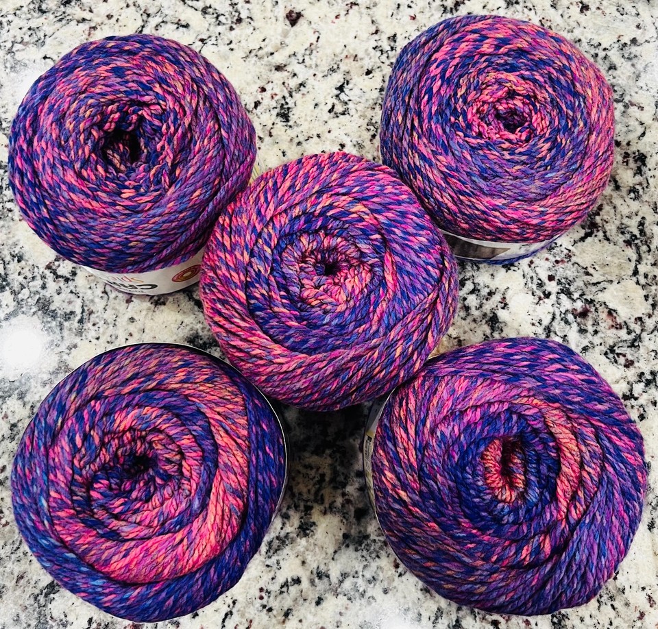 NEW Destash Yarn Lot of 5 Caron Spice Cakes in Raspberry Rainbow--FREE ...