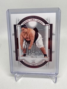 Yokozuna Autograph | eBay