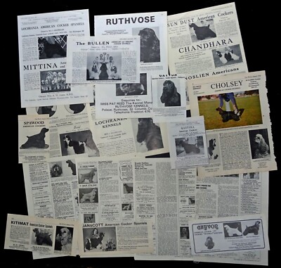 AMERICAN COCKER SPANIEL DOG Cuttings Pages Breed History Research Named Dogs