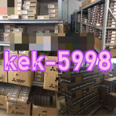 1PCS NEW BRAND In Box MITSUBISHI FG2500FX-100DA#P
