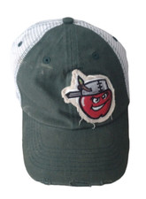 Fort Wayne Tin Caps Hat Cap Snap Back  MILB Minor Baseball Bimm Ridder