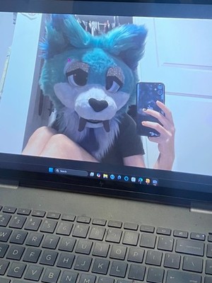Shark dog fursuit fullsuit