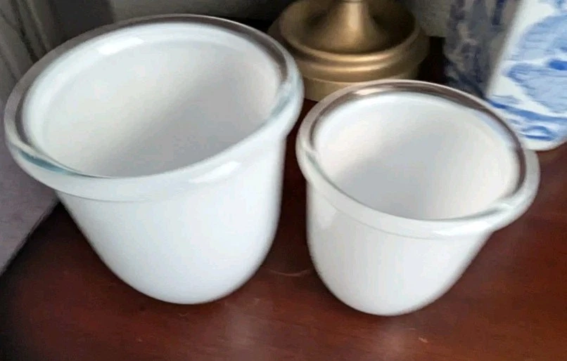 Juego de jarrón de vidrio opalino blanco de doble pared Pottery Barn candelabro maceta para orquídeas Foto 4 de 4