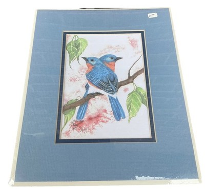 Blue Bird Print  Spring Blues  , Matted - Artist, Kay Murphy Signed 9x11