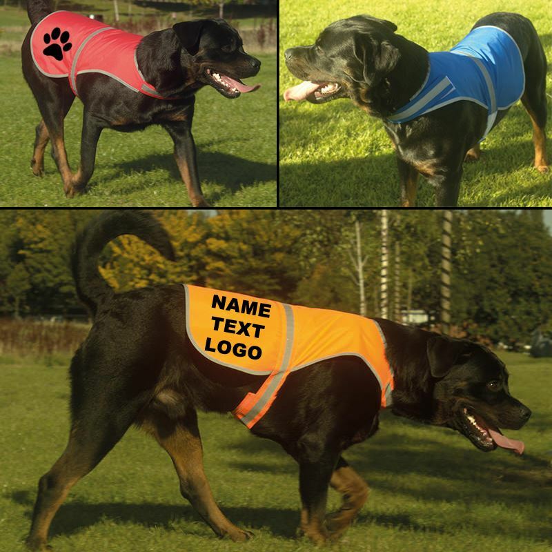 Personalised Hi Vis Dog Vest Custom Printed High Viz Pet Safety