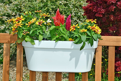 Gelndertopf 50 cm in Wei Hngetopf Blumenkasten fr Balkon Gelnder  Gartenzaun | eBay.de