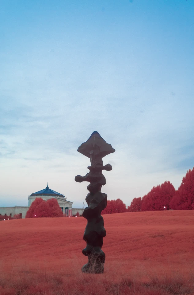 Aerochrome Filter - VisionArchitectOptics - All Sizes - IR Infrared filter EIR - Image 3 of 4