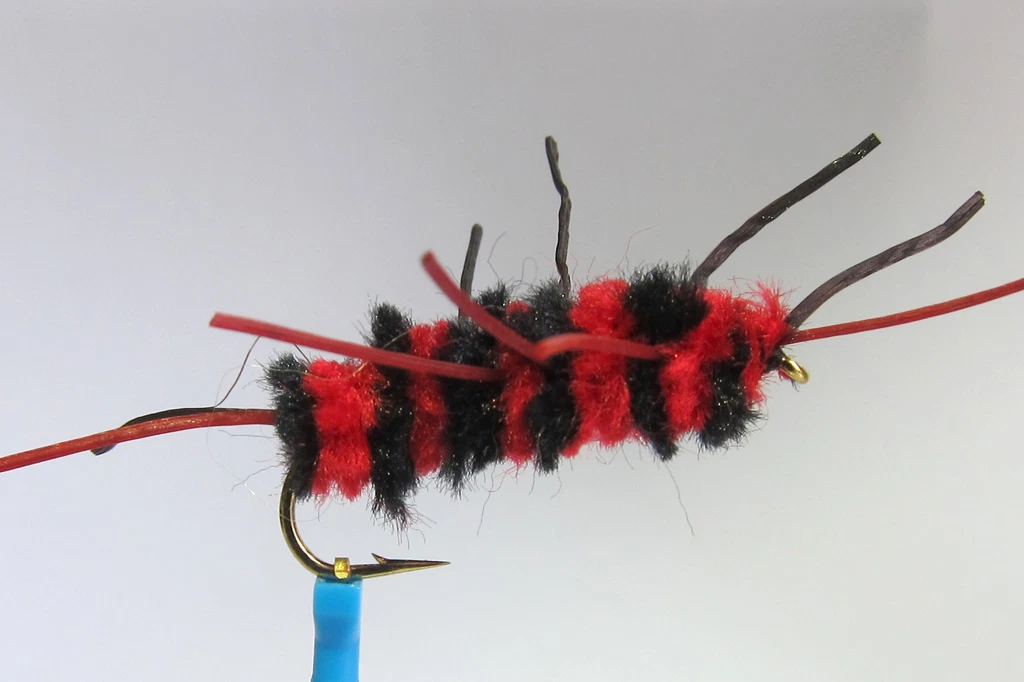 Coe Si Cucina La Trota – I 15 Igliori Prodotti A Confronto - Ondo - Foto 9