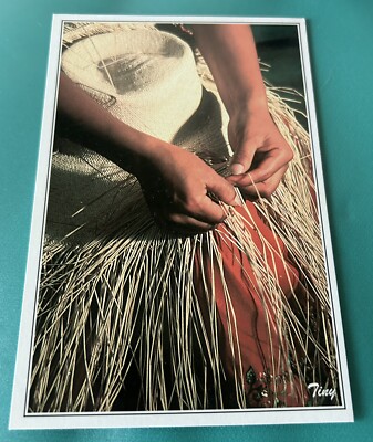 Weaving A Panama Hat Cuenca Ecuador Post Card