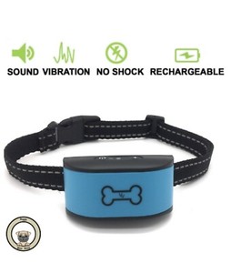 dog chip collar