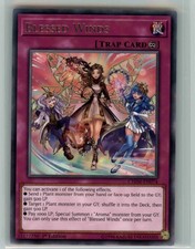 Blessed Winds CHIM-EN074 Rare Chaos Impact Yu-Gi-Oh