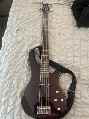 5 String Electric Bass Guitar with 24 Frets, Trans Red Clay Finish, with Gig Bag