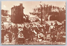 Group Photo Miners of Nancy Hanks Mine Vintage Postcard Morin Collection