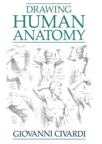 Drawing Human Anatomy - Paperback By Civardi, Giovanni - GOOD