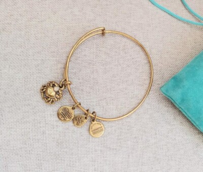 Alex And Ani CRAB Charm Gold Bracelet/Bangle Adjustable Size 