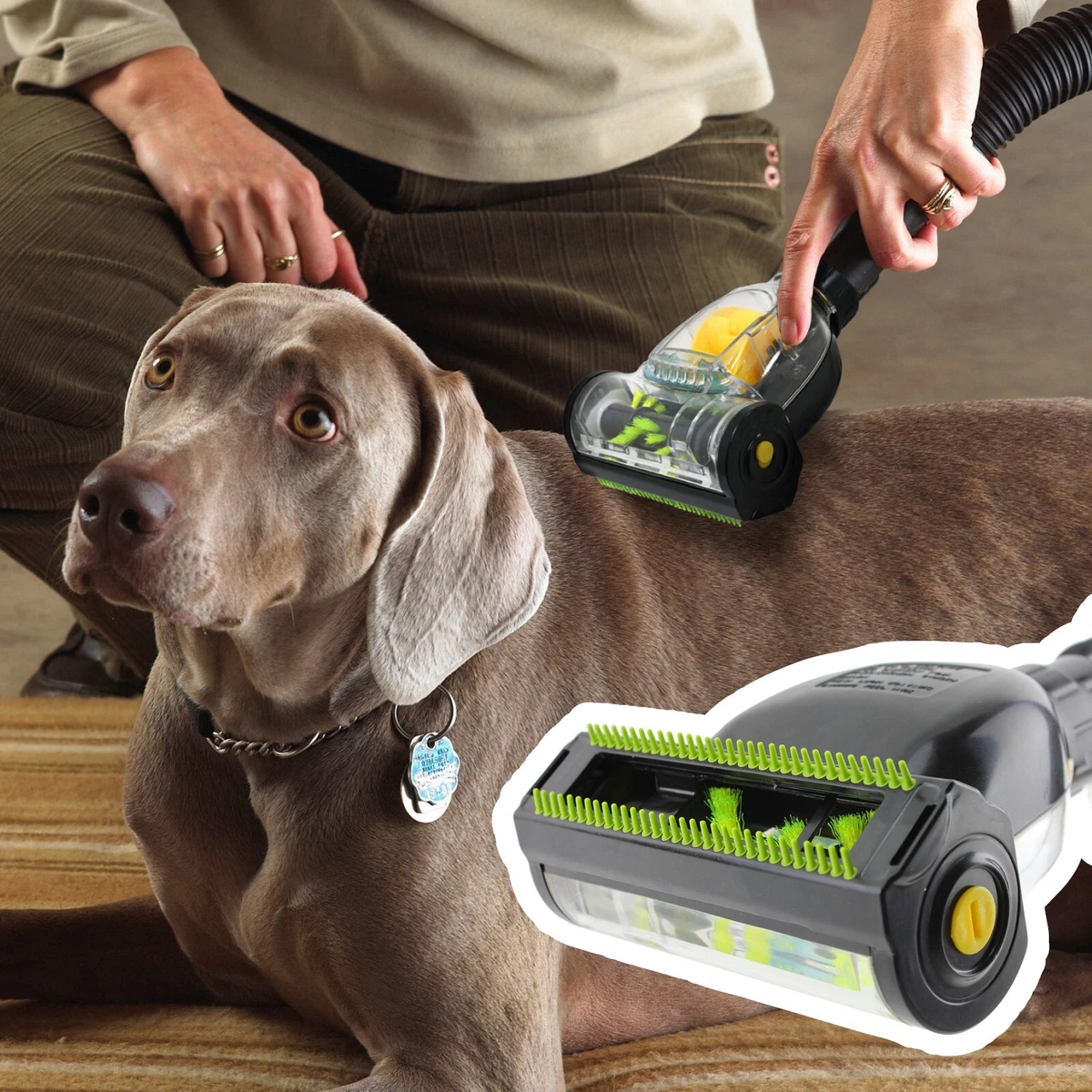 Vacuum cleaner for pet hair outlet