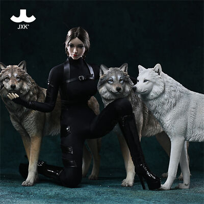 1/6 Arctic Wolf Model Canis Lupus Arctos High end ornament Soldier Accessory