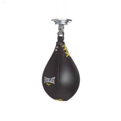 everlast punching bag and speed bag
