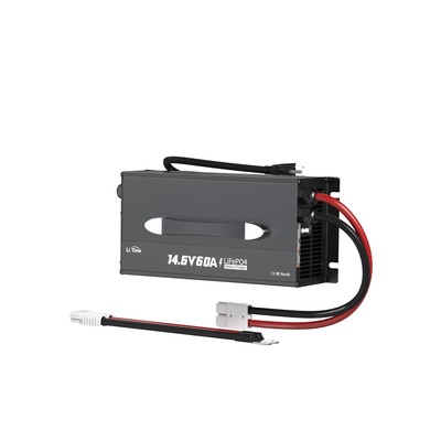 LiTime 60-Amp Lithium Battery Charger 12V LiFePO4 Battery Charger AC-DC Smart...