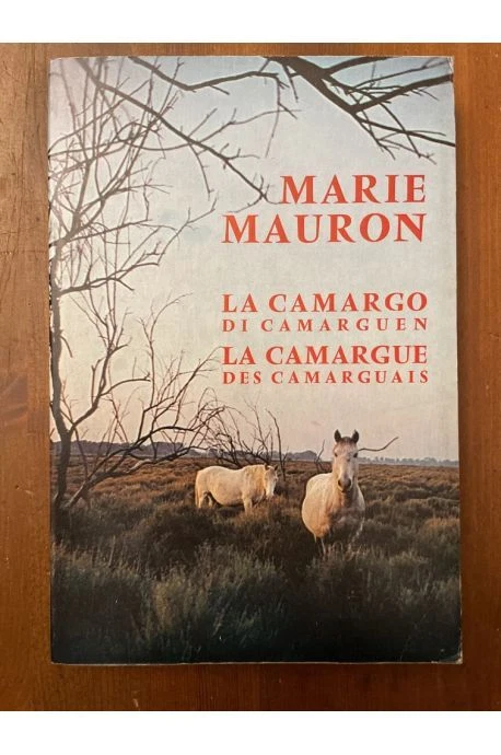 Manuscrits livres rares et curieux estampes - Catalogue XX de la