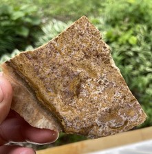 Losa áspera de ágata de encaje Calico 1,9 OZ stock antiguo