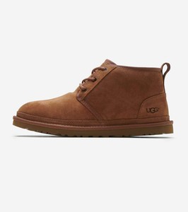 chestnut uggs mens