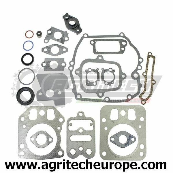Serie Guarnizioni 795442 793284 Briggs & Stratton Intek 6.5 HP OHV