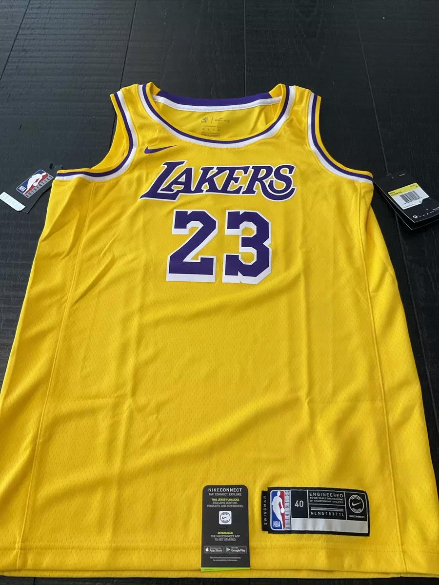 Men's Los Angeles Lakers LeBron James #23 Purple Swingman Jersey