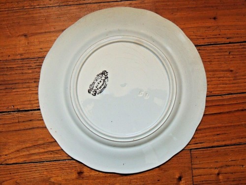 Assiette Parlante Les animaux intelligents Creil Montereau un bon pigeon n°4 - Bild 2 von 2