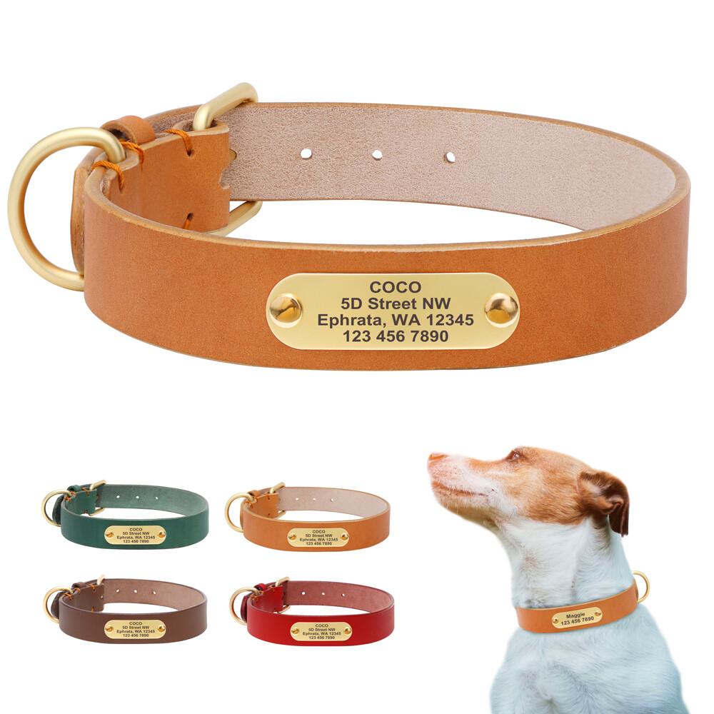 Custom Dog Collar With Name Fi Compatible Canvas s With Quick