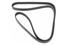 MAPCO Keilrippenriemen 251750 f&uuml;r KLASSE 414 RENAULT NISSAN DACIA MERCEDES W168