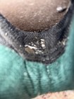 Bild 19 von 19