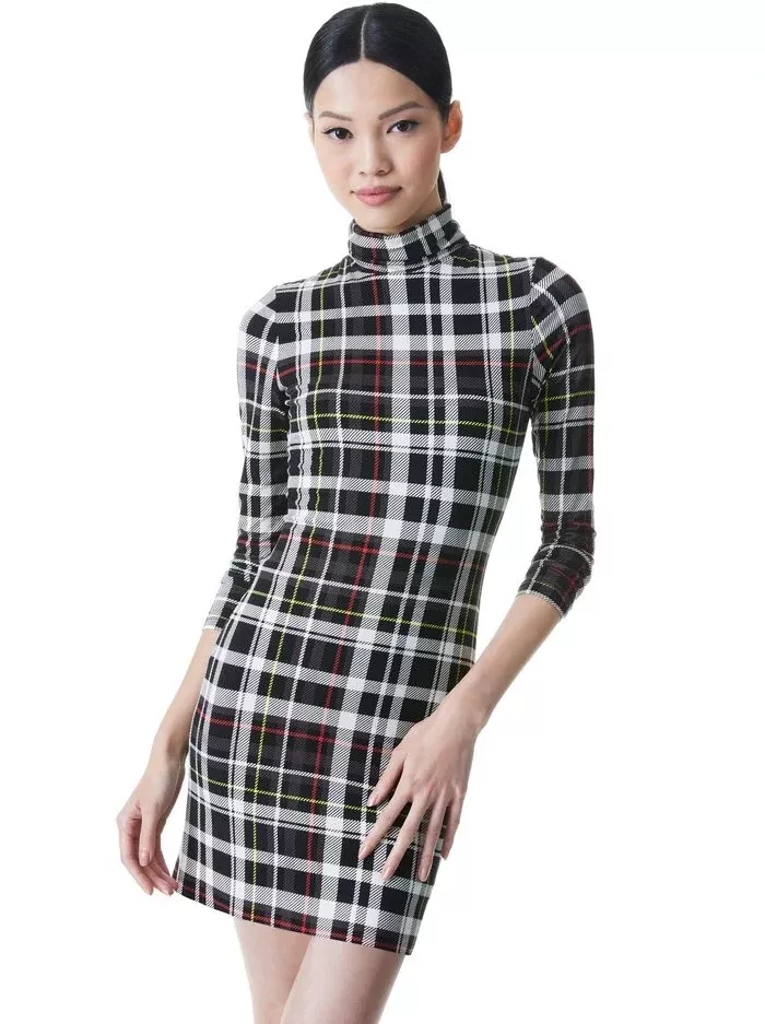 Plaid turtleneck deals dress