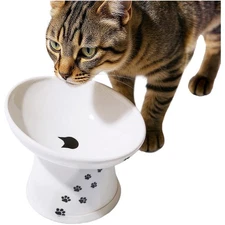 Smart Design Ceramic Cat Bowl – Anti Vomiting & Whisker Fatigue Relief for Pets