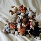 Ty Beanie Babies Plush Lot of 7 Cats Vintage 1999