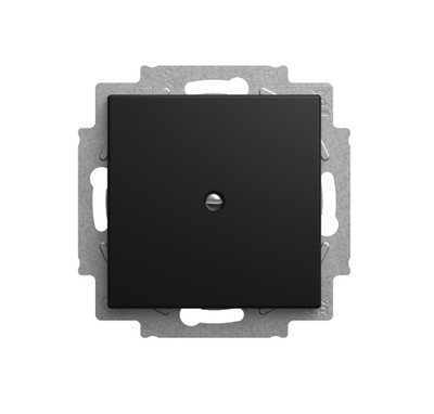 Busch-Jaeger Zentralscheibe 1-fach mit Tragring Busch-balance  SI 2538-915