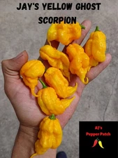 15 Jay's Yellow Ghost Scorpion Pepper Seeds Free Shipping