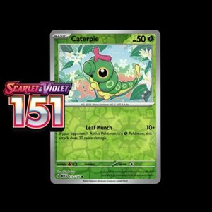 Caterpie Holo | eBay
