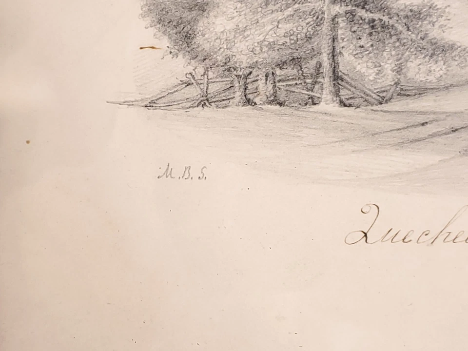 Антикварный оригинальный карандашный рисунок Stockbridge Mass. "Чаша" с автографом M.B.S. - Изображение 4 из 4