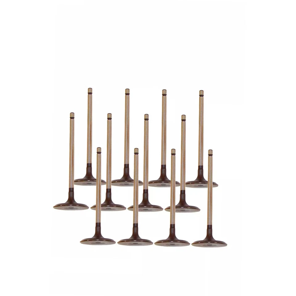 Kit de válvula de admisión y escape 2GRFE para 05-15 Toyota Avalon Camry RAV4 Lexus 3,5 L Foto 2 de 4