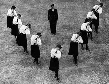 Or Wrens convert the traditional hornpipe into a victory dance in - Old Photo